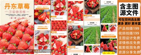 丹东大草莓详情页,其它,其他设计,设计模板,汇图网www.huitu.com