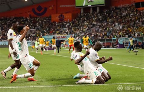 世界杯小组赛：日本2-2塞内加尔_竞彩网