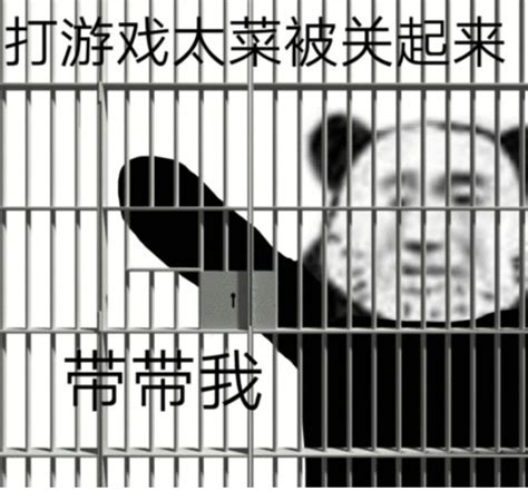 带我求带表情包图片