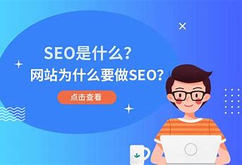 专业百度seo网站优化价格 的图像结果