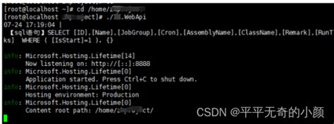 net core API 部署Linux系统_linux 。netcore api_平平无奇的小颜的博客-CSDN博客