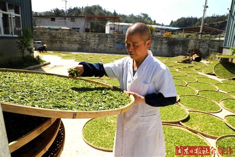 “中国传统制茶技艺及其相关习俗”列入人类非物质文化遗产代表作名录 · 中国民俗学网-中国民俗学会 · 主办 ·
