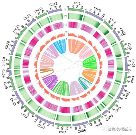 天津工业生物所获得λ-噬菌体基因表达的高分辨率图谱--中国数字科技馆