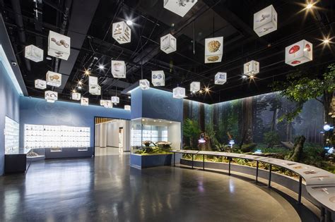 邹城市蘑菇展览馆-同圆设计集团股份有限公司-文化建筑案例-筑龙建筑设计论坛