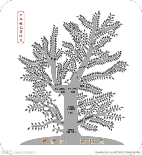 吉祥树图片盆栽,叶子,院子_大山谷图库