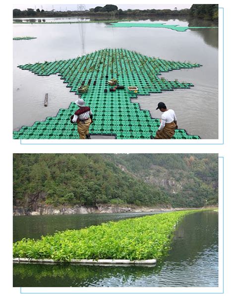 EVA水上种植蔬菜浮板鱼菜共生漂浮板水稻蔬菜水培定植浮床EVA泡棉-阿里巴巴