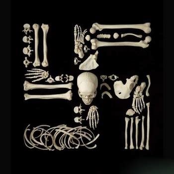 意想不到的人骨拼图，透着死亡气息的视觉艺术-古田路9号-品牌创意/版权保护平台