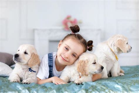 可爱的小女孩和宠物狗图片-抱着两只狗狗的小女孩素材-高清图片-摄影照片-寻图免费打包下载