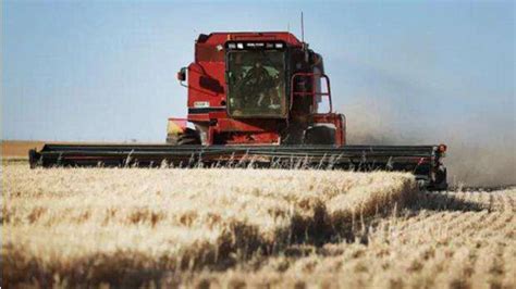 中国对澳洲大麦实施反倾销关税，你怎么看？|客一客