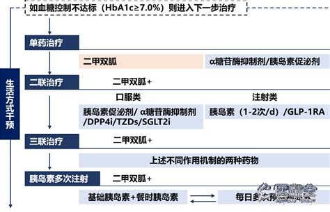 最新《中国2型糖尿病防治指南》更新9大要点，一文了解_医学界-助力医生临床决策和职业成长