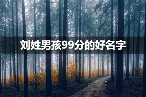 刘姓男孩100分名字大全-姓名测试网
