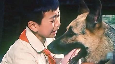 警犬卡尔日本电视剧_视频在线观看-爱奇艺搜索