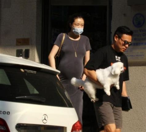 熊黛林二孕图片