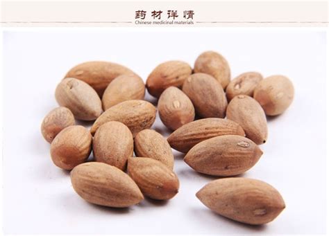榧子的图片