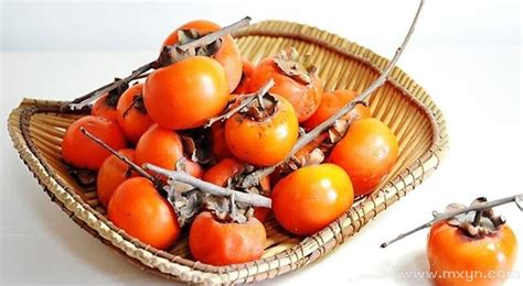 柿树上残留的柿子高清图片下载_红动中国