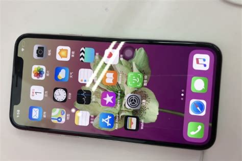 拍了八千张照片后，聊聊iPhone XS Max的拍照_原创_新浪众测