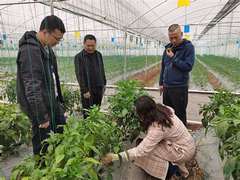 铜梁区气象局开展设施蔬菜种植服务需求调研