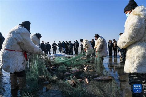 新疆福海冬捕节开幕 传统千米大拉网“踏雪寻鱼”