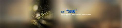 17年外贸网站建设、外贸独立站和SEO推广服务-厦门宇讯