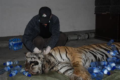 这本照片书展示非法捕猎野生动物的残酷影像_咔够网 - 摄影器材交流与交易门户网站