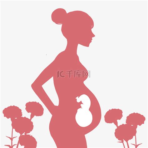 孕妇肚子里的胎儿素材图片免费下载-千库网