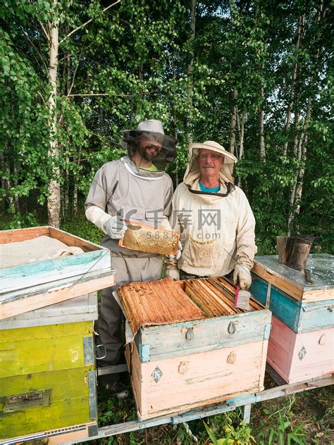 新手养蜂入门技术有哪些？只有掌握这些技术，养蜂才能得心应手！