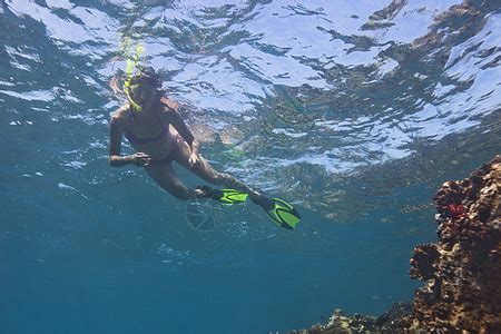 自由潜水图片-女人在清澈的海里自由潜水素材-高清图片-摄影照片-寻图免费打包下载