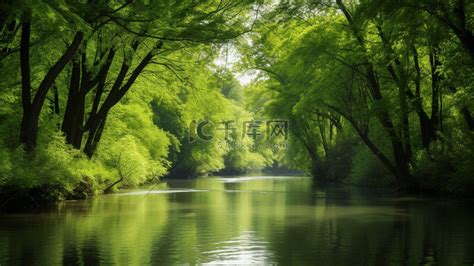 绿树成荫的道路高清图片下载-正版图片500755915-摄图网