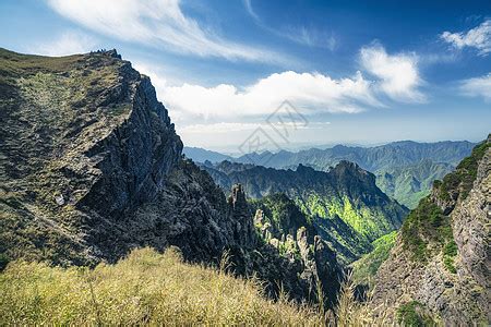 百草大全图片