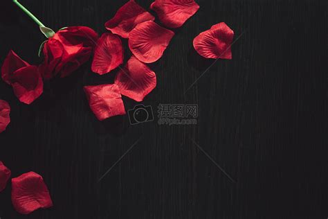 血玫瑰花图片