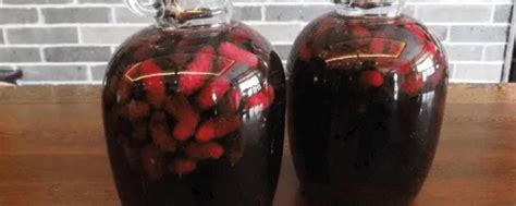 最适合泡酒的8种水果 - 农敢网