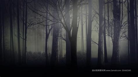 幽暗的森林密林背景13_3840X2160_高清视频素材下载(编号:25353040)_舞台背景_光厂(VJ师网) www.vjshi.com