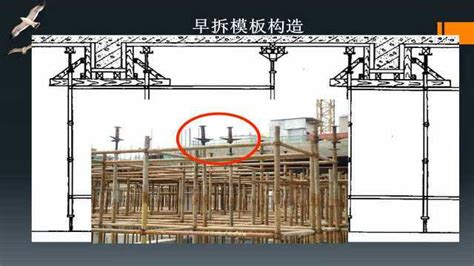 混凝土浇注完，多久拆除模板最合适？拆除模板的顺序、方法及注意事项！