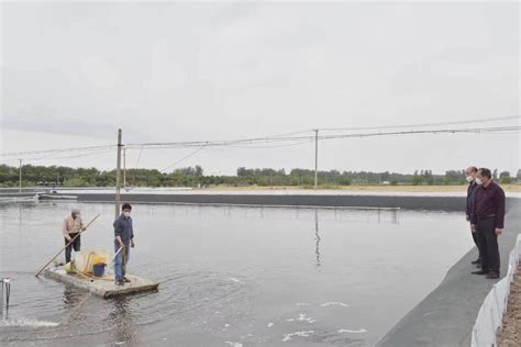 楼王镇精准施策服务推进水产养殖生产-盐城新闻网
