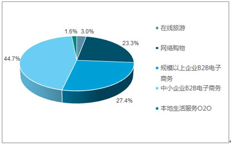 电子商务市场分析报告_2019-2025年中国电子商务市场深度评估与发展战略研究报告_中国产业研究报告网