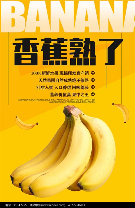 香蕉宣传海报素材_餐饮美食图片_海报图片_第16张_红动中国