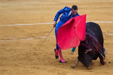 西班牙斗牛节上演惊险 斗牛士险被公牛刺穿腹部_频道_凤凰网