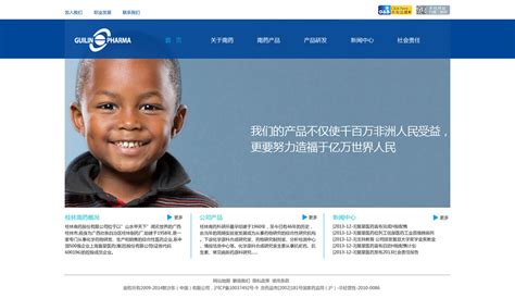 南药集团-桂林专业做网站_网站建设_app_小程序_网站定制