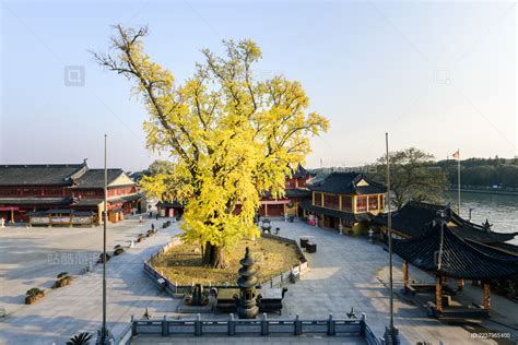 朱家角是位于上海市青浦区的一座古水镇高清图片下载-正版图片506455171-摄图网