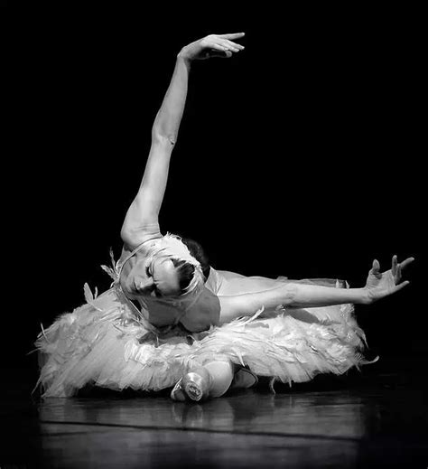 卢森堡“Gala des Etoiles 2015“芭蕾舞剧《天鹅湖》黑天鹅双人舞 - 舞蹈图片 - Powered by ...