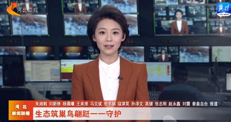 2023年河北卫视广告价格-视听域国际传媒