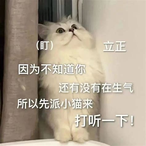 必备表情包.图片