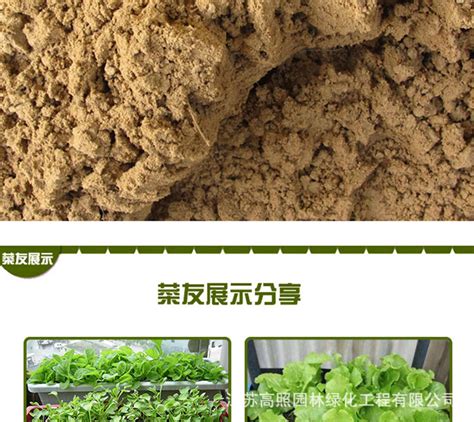 泥土种植禾苗素材图片免费下载-千库网
