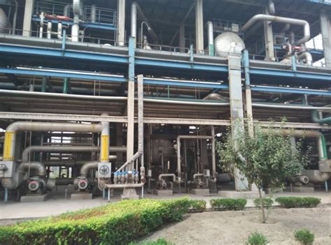 东营专业动植物油提炼生物柴油设备厂家-瑞科机械