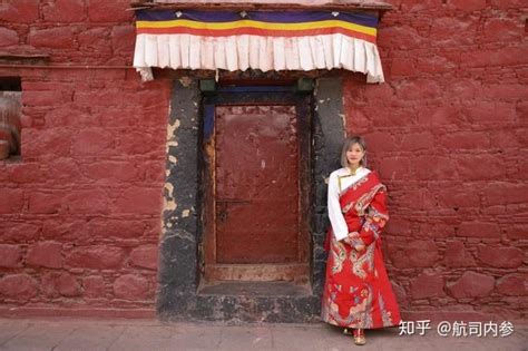 【拉萨至林芝一路风景如画摄影图片】西藏风光摄影_二言大侠_太平洋电脑网摄影部落