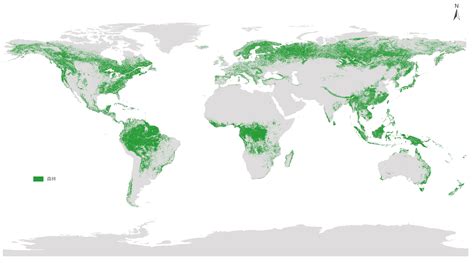 全球/区域森林覆盖现状-2019年（2020）--地球大数据支撑可持续发展目标（SDG网站）