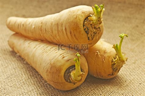 野生防风草图片