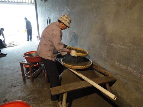 养殖中华土元的关键-中国土元地鳖虫养殖专业合作社