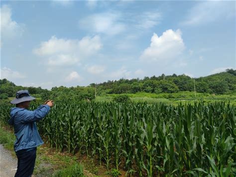 青阳县自然资源和规划局推进补充耕地项目日常变更调查工作-池州市自然资源和规划局