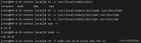nodejs（12.16.1）安装及环境变量配置_node 12.16.1-CSDN博客